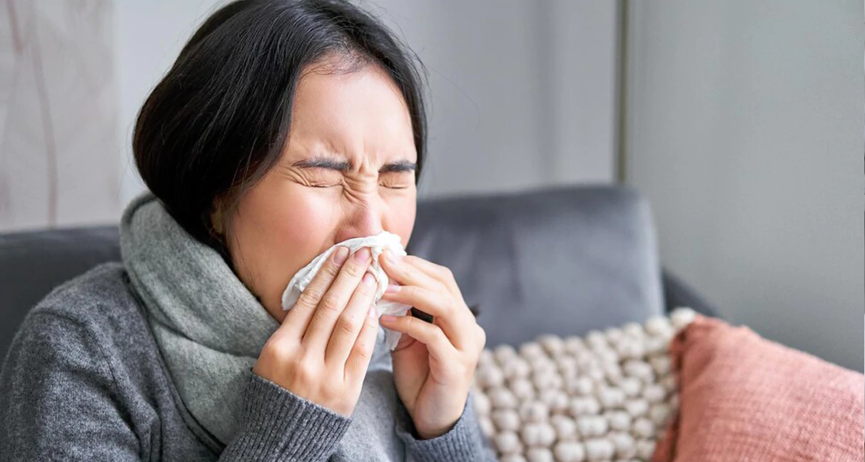 Hay Fever